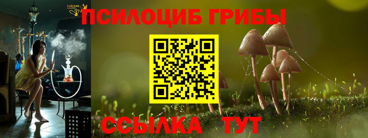 Верхняя Пышма  Псилоцибиновые грибы Cubensis  Псилоцибиновые грибы Magic Shrooms  Вход с VPN 