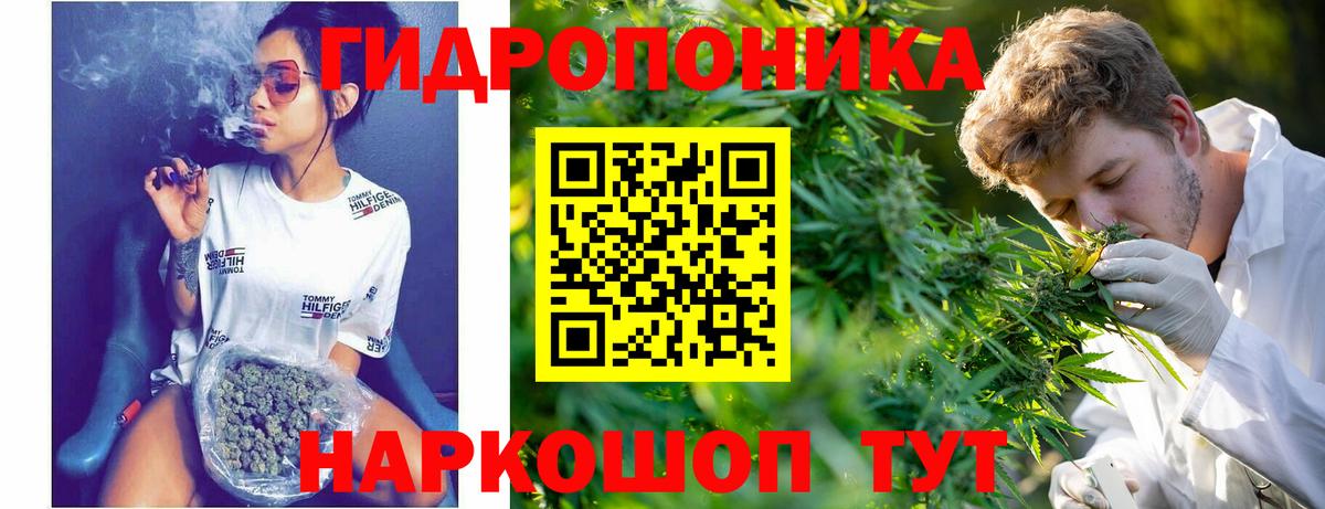 Каннабис MAZAR  Вход с VPN  МАРИХУАНА LSD WEED  Верхняя Пышма  Канабис индика  Бошки Шишки план 